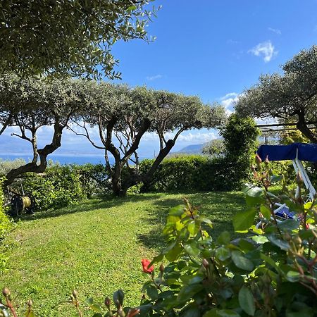 Отель Sorrento Olive Tree Garden Экстерьер фото