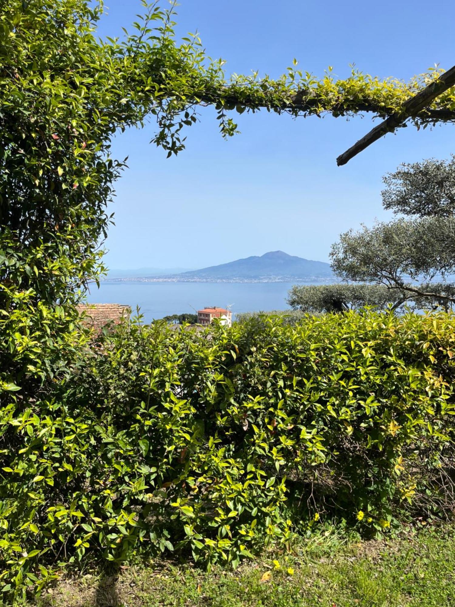 Отель Sorrento Olive Tree Garden Экстерьер фото